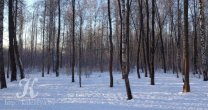 Садоводческое Товарищество Калезея - 2015
