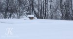 Калезея - 2019