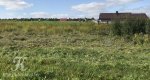 Калезея - 2020