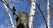 Садоводческое Товарищество Калезея - 2021