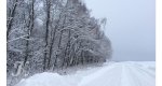 Калезея - 2019