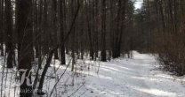 Садоводческое Товарищество Калезея - 2021