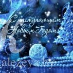 Новости Садоводческого Товарищества Калезея - С НОВЫМ ГОДОМ!!!!!!