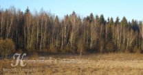 Садоводческое Товарищество Калезея - 2015