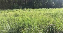 Садоводческое Товарищество Калезея - 2021