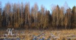 Калезея - 2015