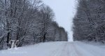 Калезея - 2019