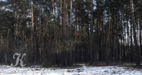 Садоводческое Товарищество Калезея - 2021