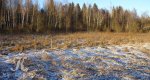 Калезея - 2015